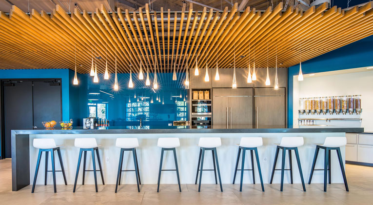 Case Study in Detail: The La Jolla Pharmaceutical Company Tenant Improvement Project