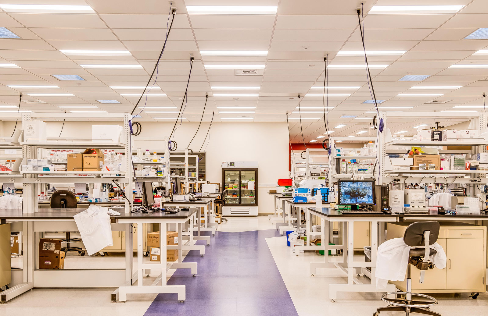 BioLegend Phase 1 lab space