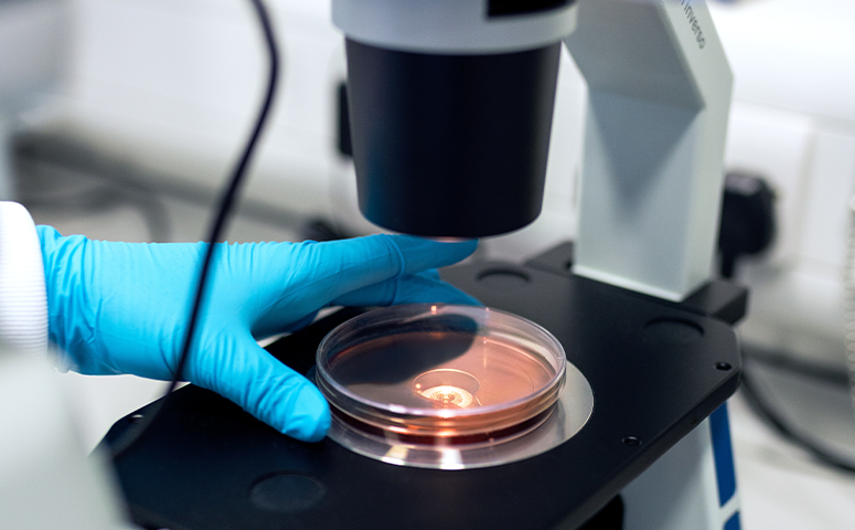 breakthroughs six of the most important themes in cancer research 2