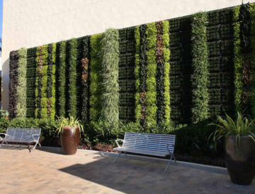 Fashion Valley Mall living wall succulents1 1