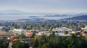 The Covid Year & its Effects on the Commercial Real Estate Market