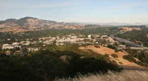 Who is Hurting & Who is Thriving in East Bay Commercial Real Estate