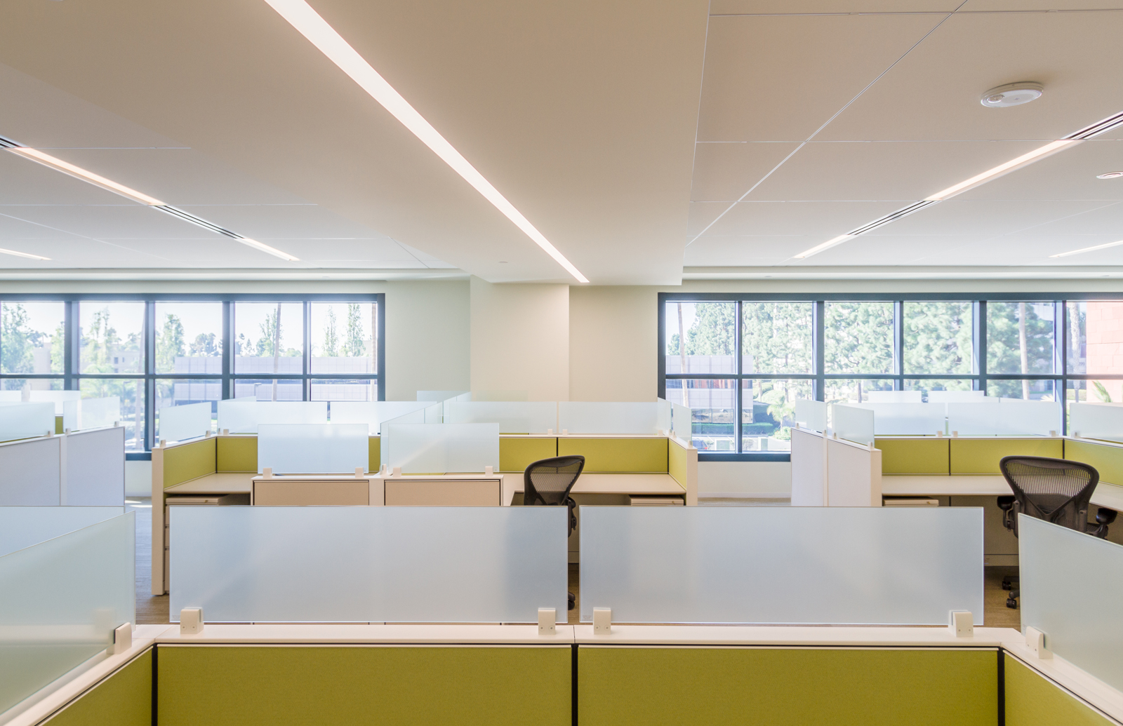 CoStar san diego expansion cubicles1 1