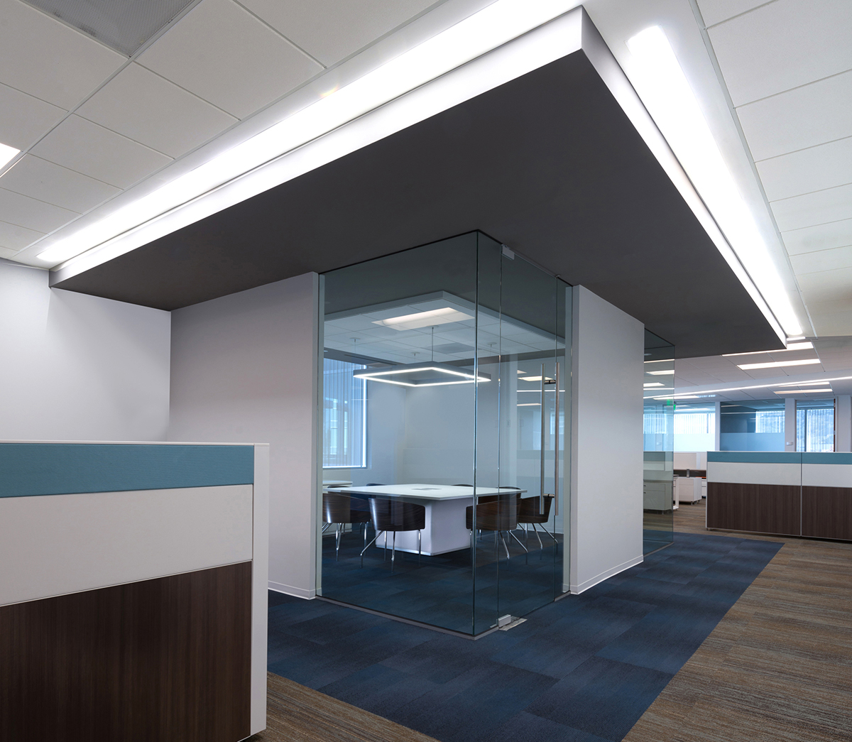 Volcano Corporation glass walled breakout room