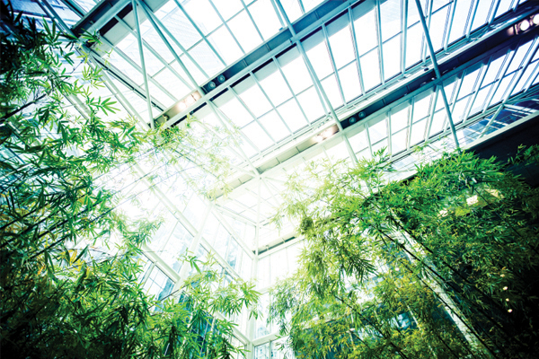 Green is the New Black: Eight Ways To Make Your Office More Green