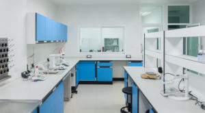 Behind the Scenes: Designing Functional Labs to Increase Efficiency and Flexibility