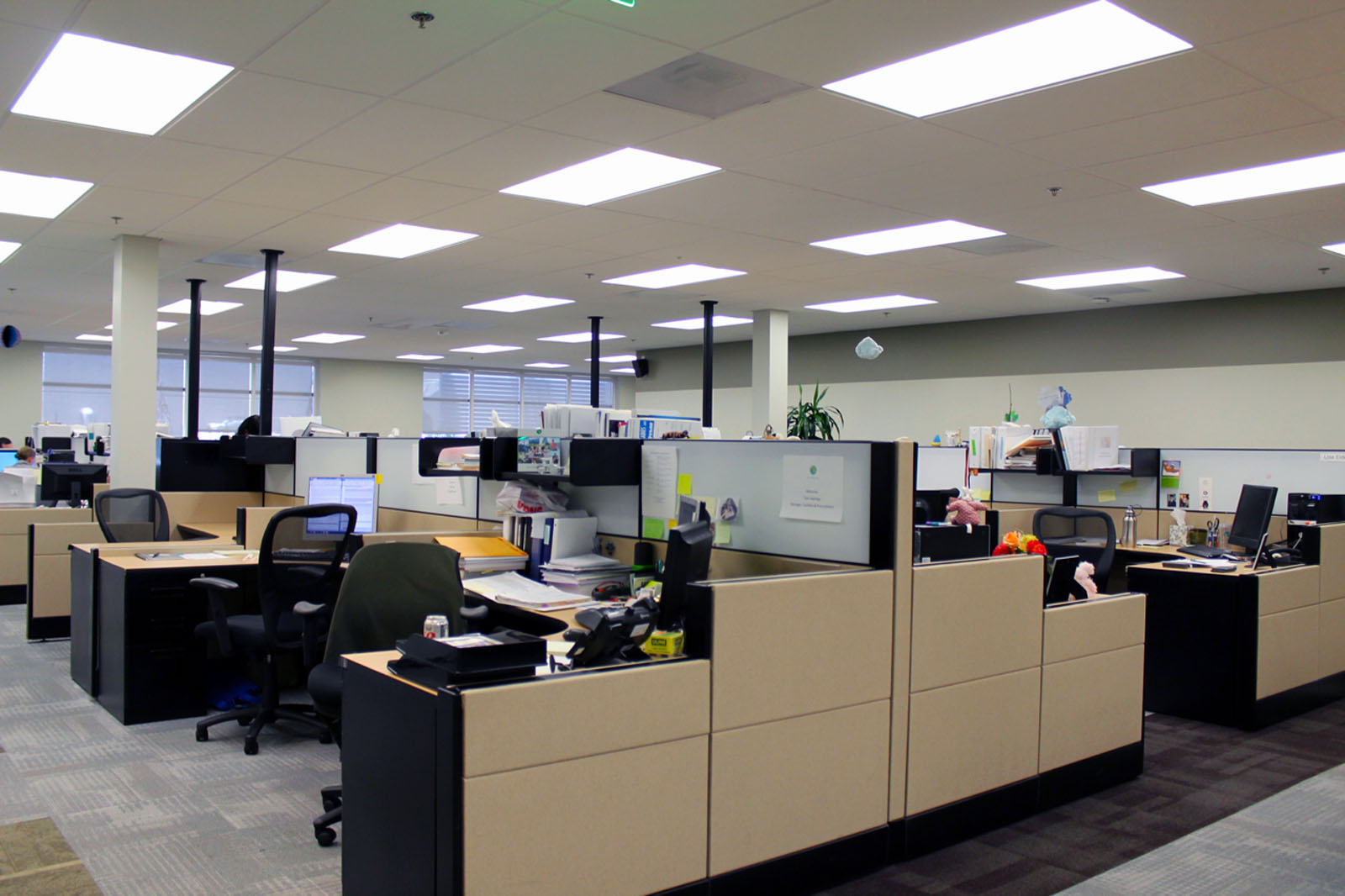 aTyr Pharma office