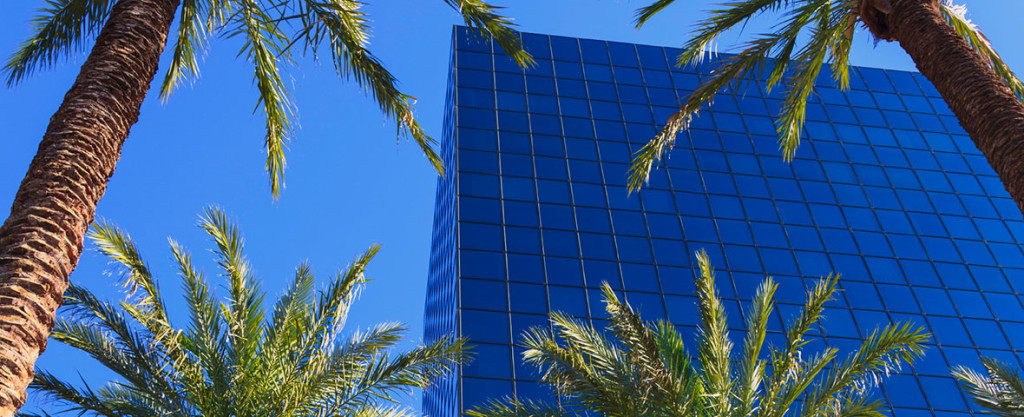 building palm trees