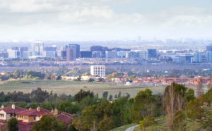 Strong Third Quarter Paves the Way for Low Vacancy Rates