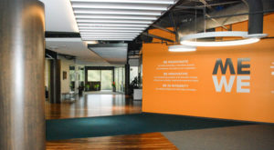 Spaces We Love: Edifecs’ Nature-Centric Workspace