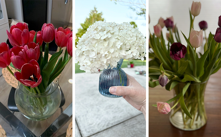 Beautiful flowers picked and brought home by Erica Hord, Briana Iverson and Nicholas Willis. Safe to say they’re enjoying the vibrant colors!