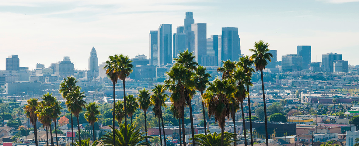 Los Angeles commercial real estate services