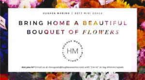 Our March 2017 HM Mini Goal