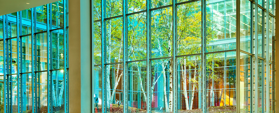 glass atrium