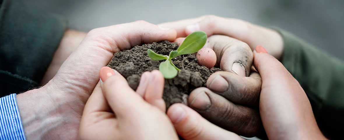 hands holding new life