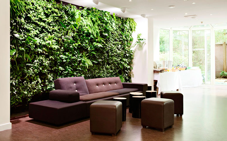 a living wall in an office interior