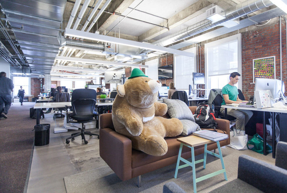 lumosity-headquarters-teddy-bear