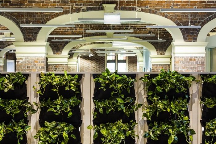 Breathing New Life Into Your Office: How Plants Can Increase Productivity