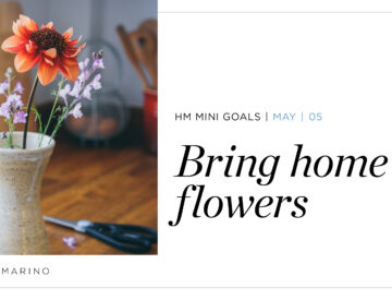 HM Mini Goal Blog Post May