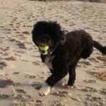 be like bandy hughes marino bandy running on beach