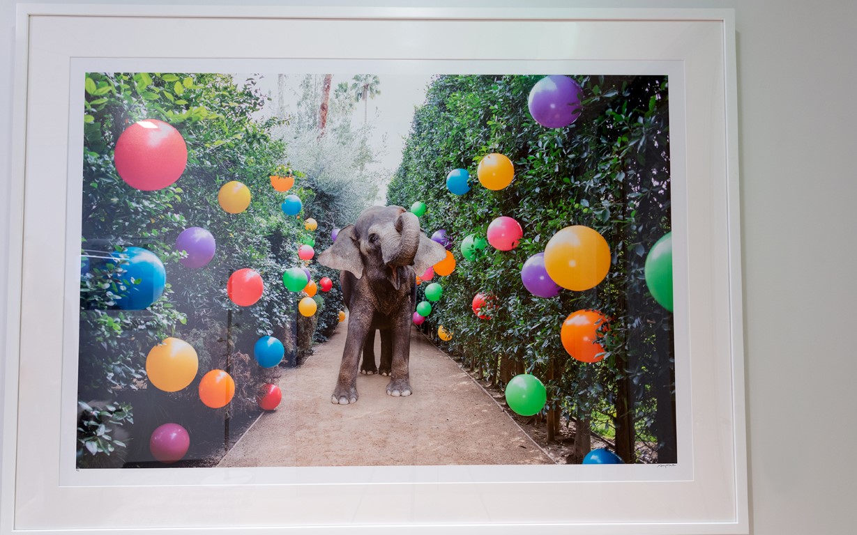 hughes marino san francisco gray malin elephants balloons