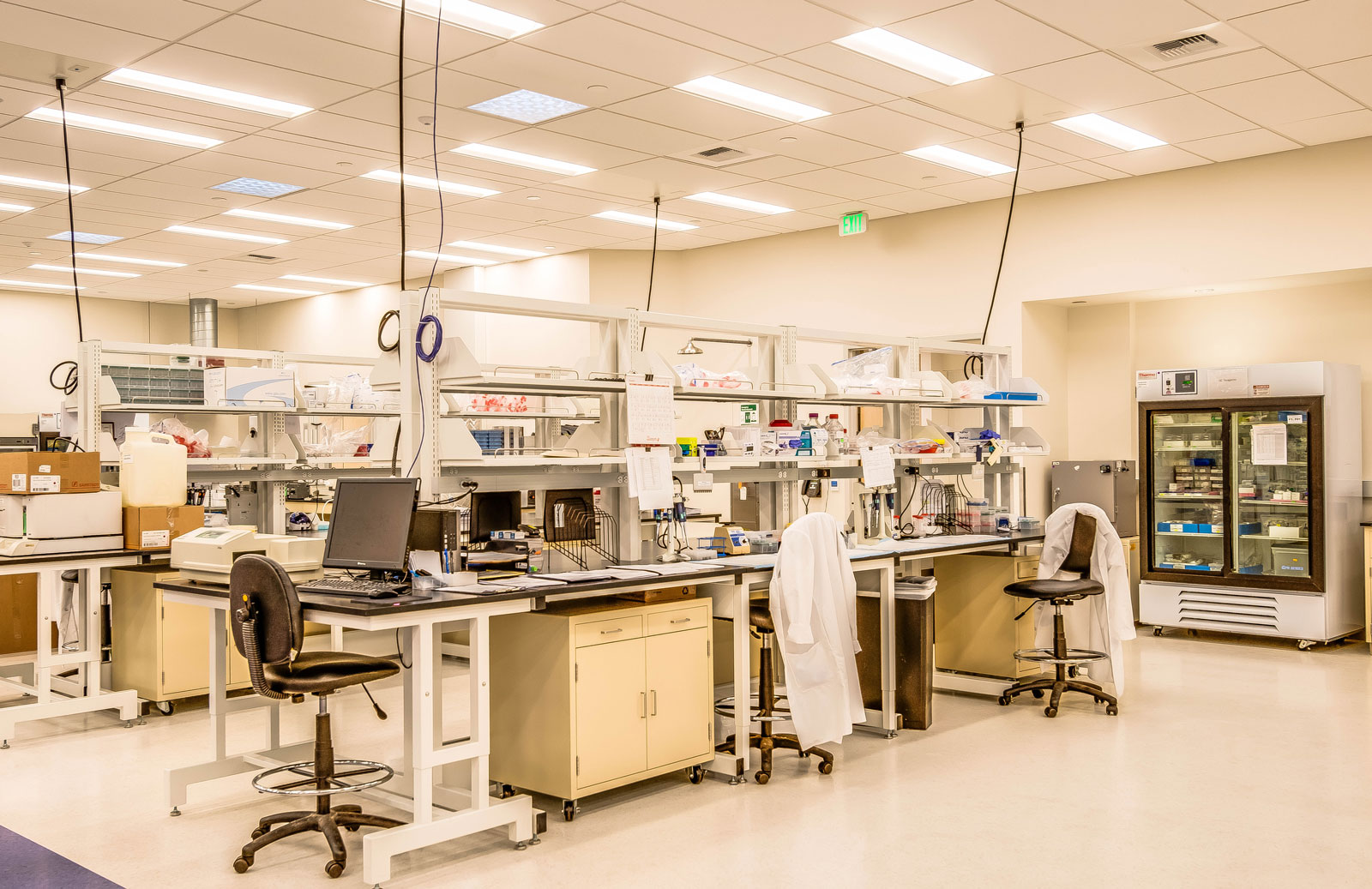 BioLegend, Phase 1 - Hughes Marino Sacramento