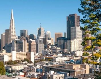 San Francisco through the trees