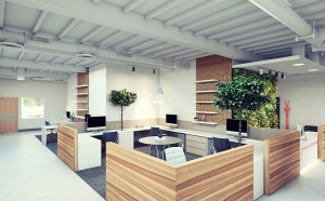 Dreaming of an Open Ceiling? Plan Ahead to Prevent Problems