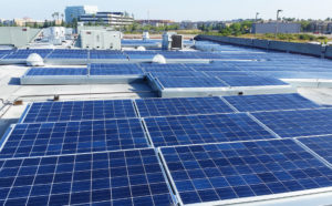 Jewish Family Service Goes Solar