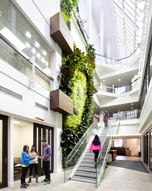 lululemon-vancouver-headquarters-staircase-and-living-wall2