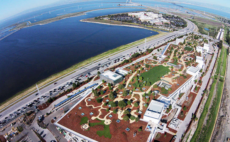 Facebook campus designed by Frank Gehry