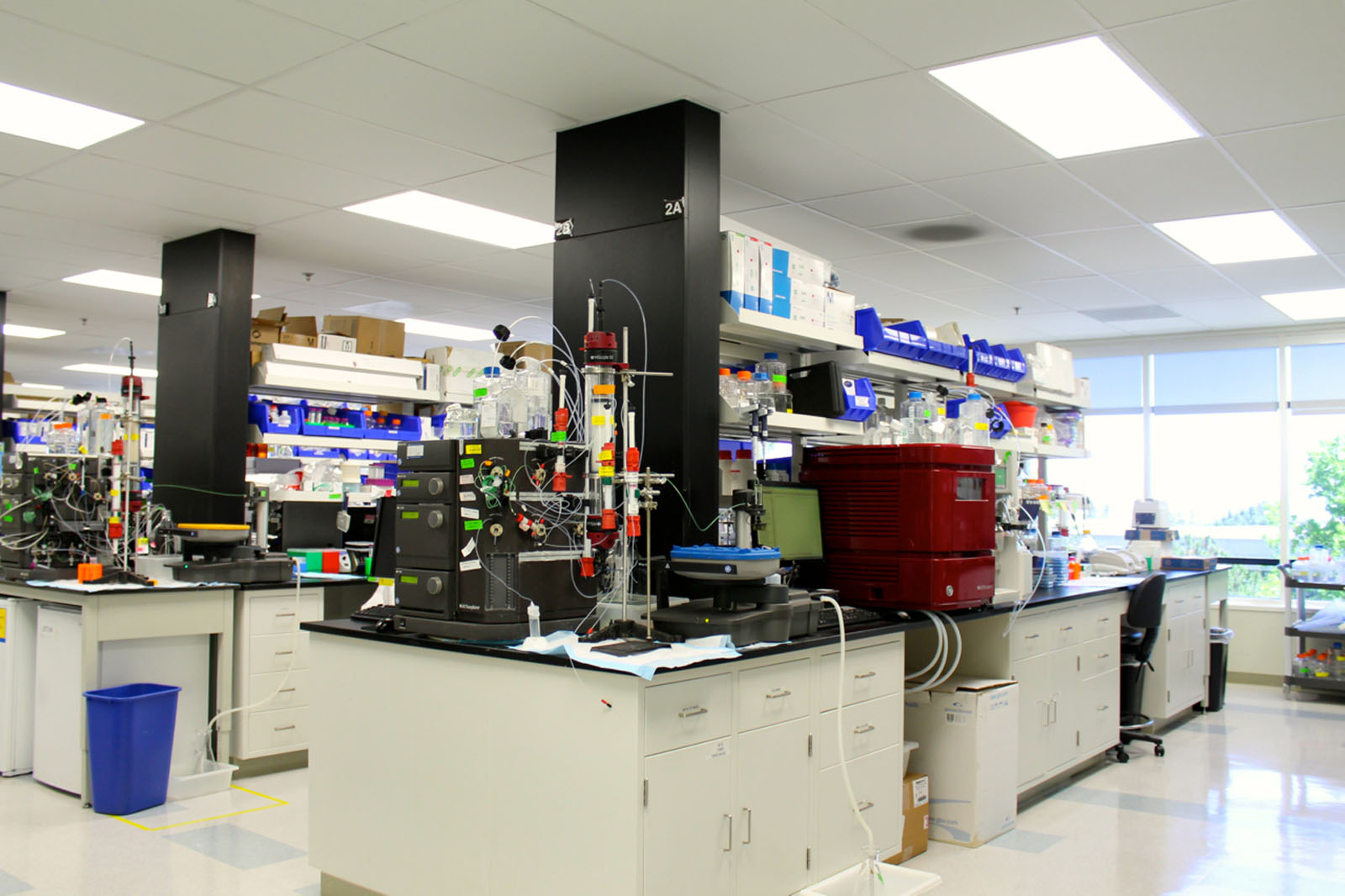 aTyr Pharma lab benches