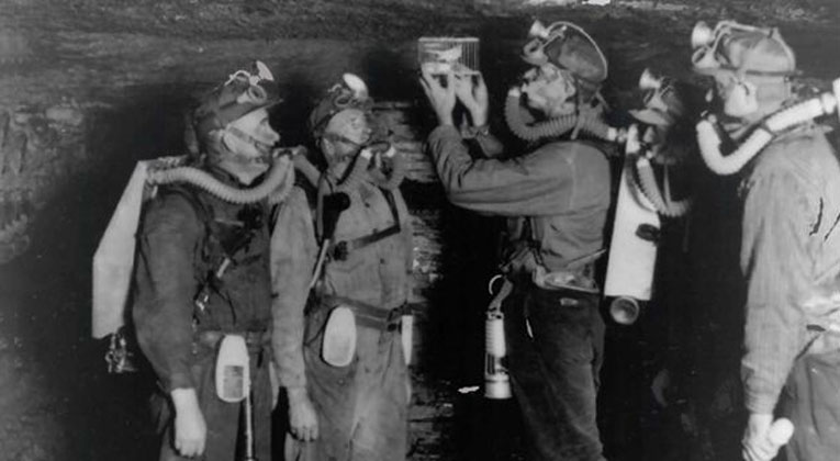 The Canary in the Coal Mine Stops Singing…