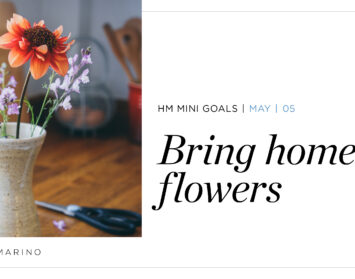 HM Mini Goal Blog Post May