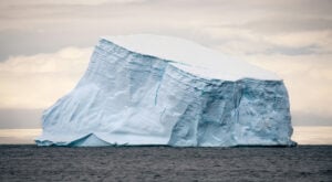 The Iceberg Market Model