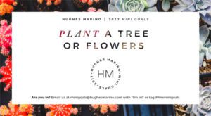 Our May 2017 HM Mini Goal