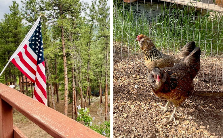 Mary Pruitt took a trip to Colorado and enjoyed a phoneless walk through the mountainous property along with a few farm friends!