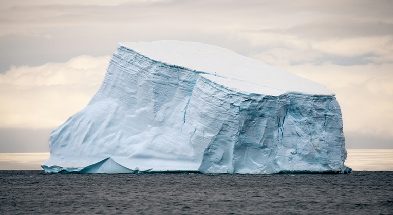 The Iceberg Market Model