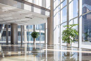Room With a View: How to Capitalize on Your Office’s Window Line