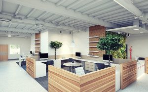 Dreaming of an Open Ceiling? Plan Ahead to Prevent Problems